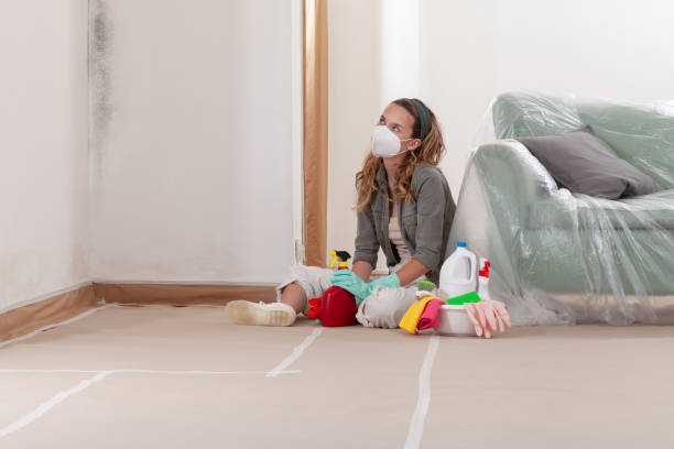 Reliable Mold Remediation contractor in Fayetteville, NC by Car Mold Remediation