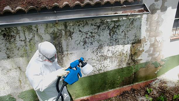 Top rated local Mold Remediation specialists in Fayetteville, NC